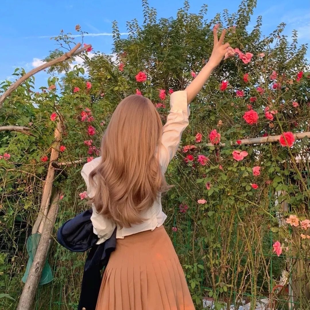 马男波杰克第五季